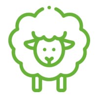 49-category-sheep icon